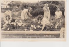 Photograph of Holtspur School rose garden